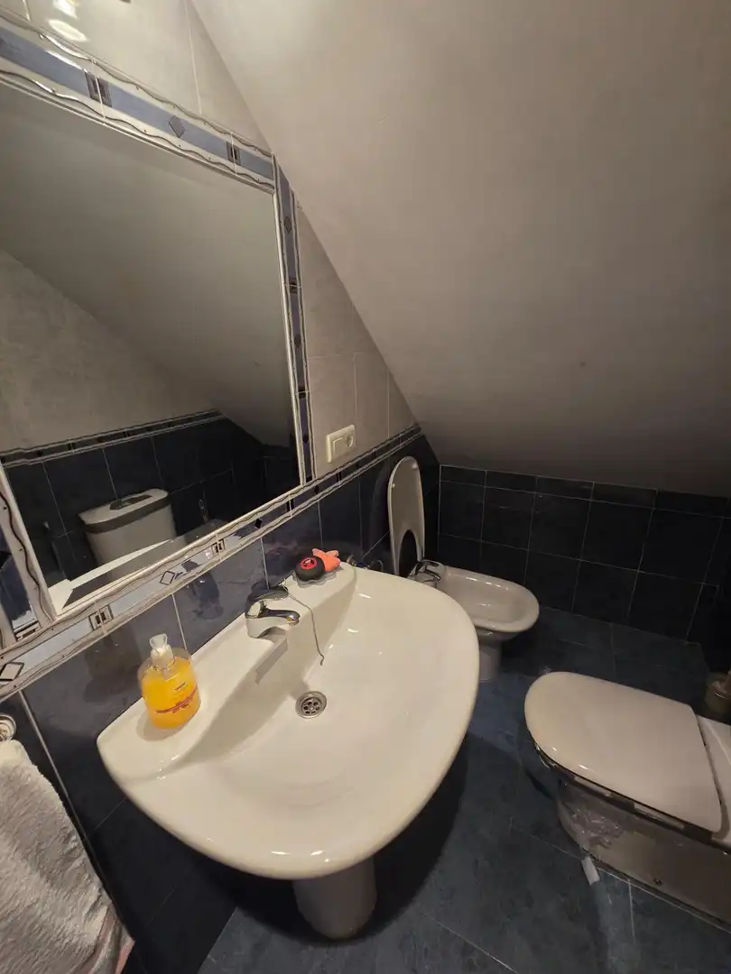 Baño de Casa o chalet en venta en Málaga