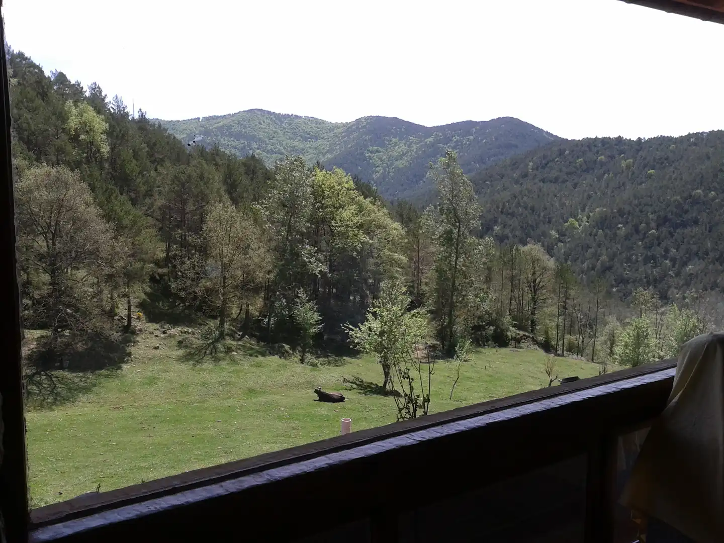 Finca rústica en venta en Ripoll