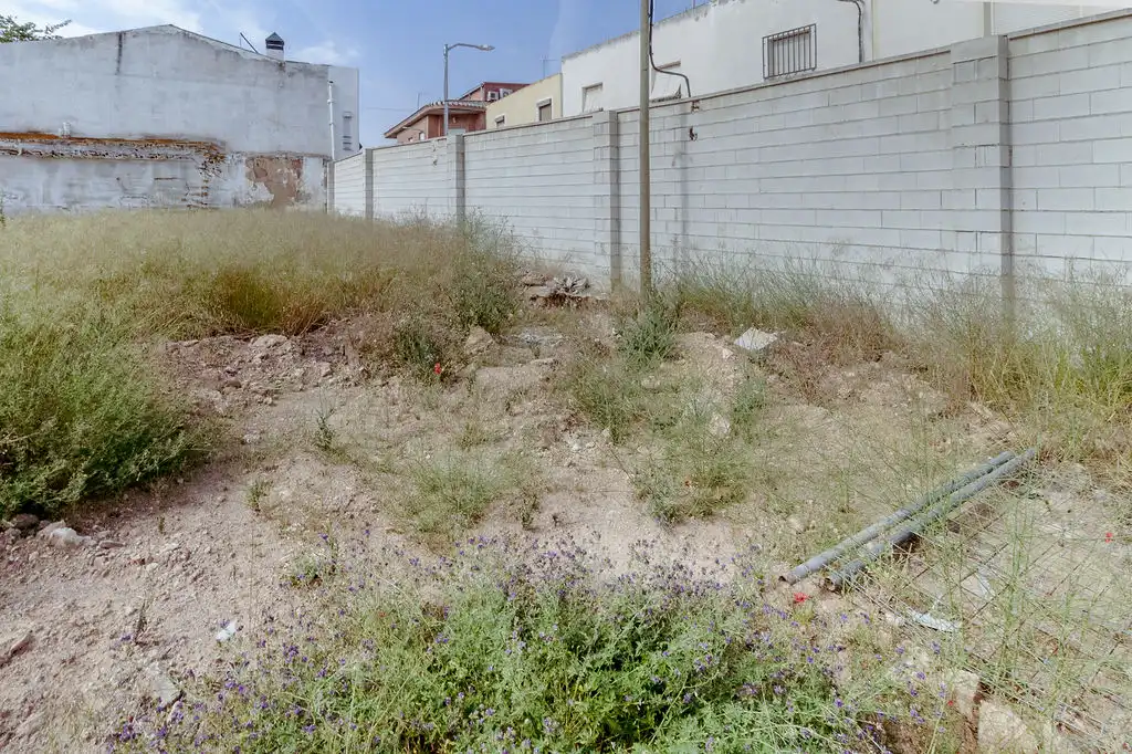 Terreno rústico en venta en C/ Francisco García Pavon, imagen 16
