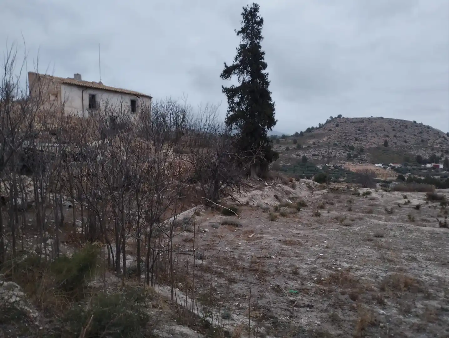 Terreno rustico in vendita a Pt Rincón de Egea - Hoya Redonda -, imagen 8