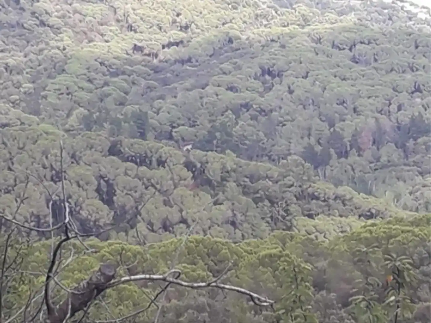 Finca rústica en venda en Sant Iscle de Vallalta amb Aire condicionat, Piscina i Balcó
