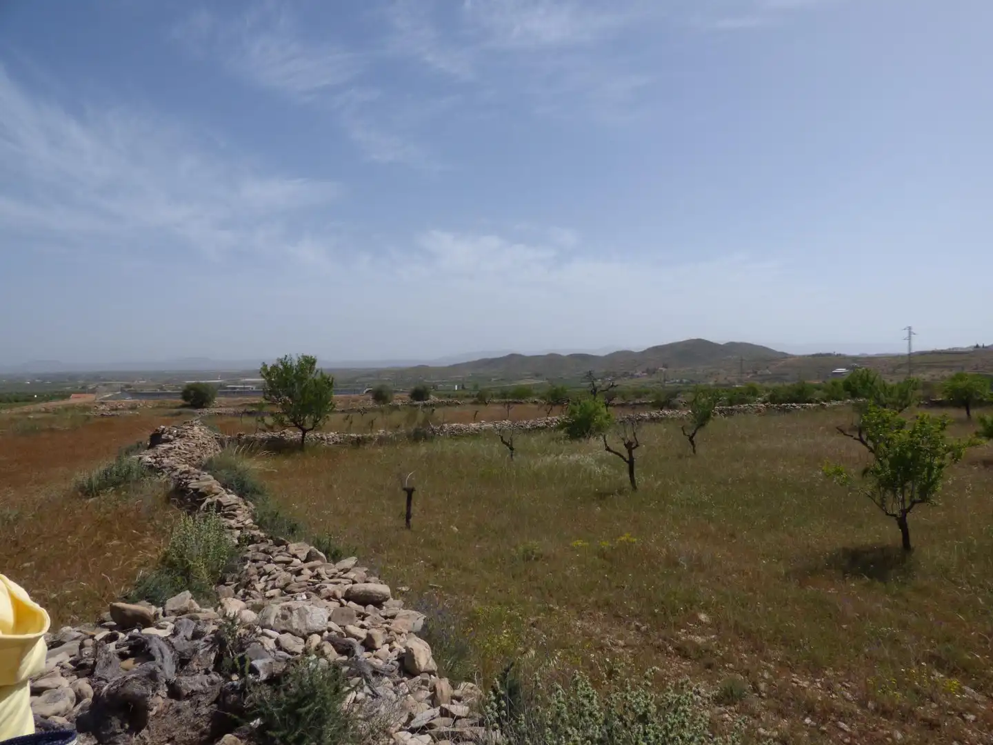 Rustikales Grundstück zum Verkauf in Uleila del Campo, imagen 2