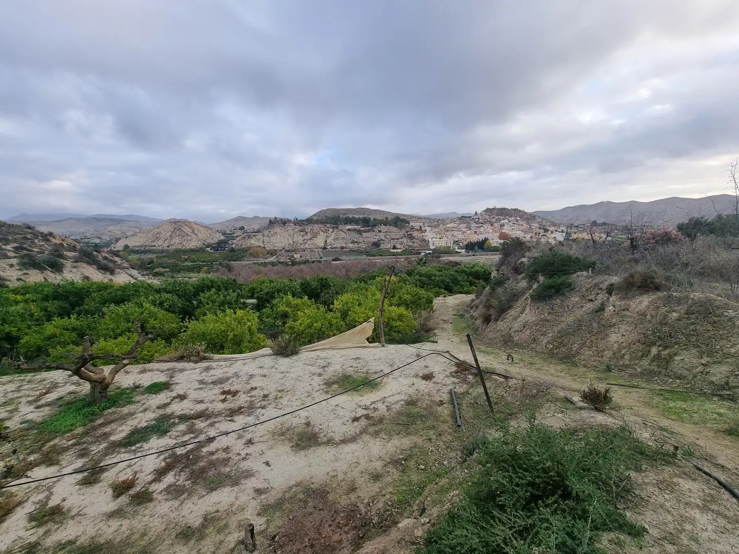 Rural land for sale in Calle Camino Ancho 4, imagen 17