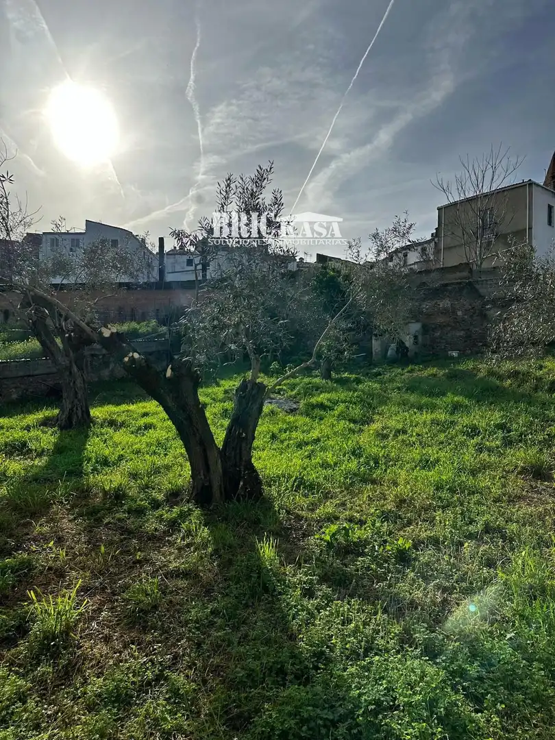 Terreny en venda en Cáceres