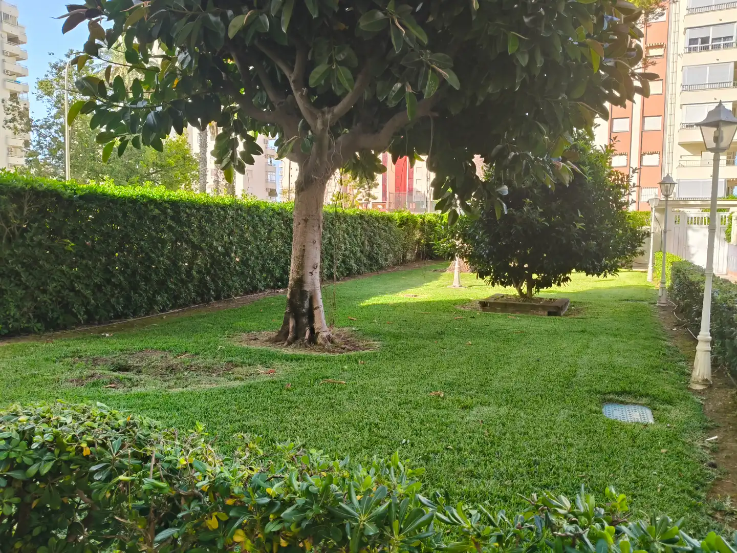 Garten von Wohnungen zur Miete in Gandia mit Terrasse, Möbliert und Gemeinschaftspool