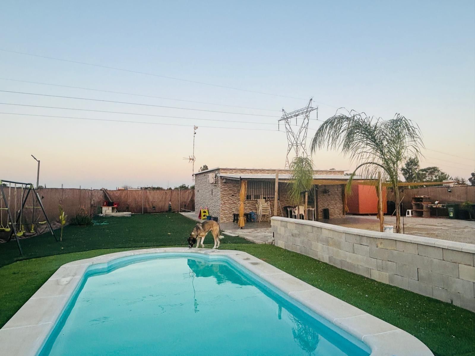 Swimming pool of Residential for sale in Utrera