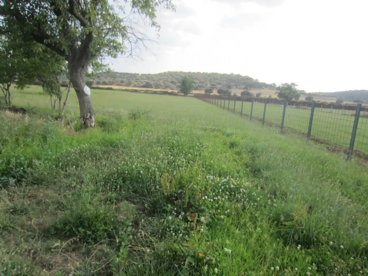 Terreno rustico in vendita a Calle RONDA DEL MEDIODIA, imagen 29
