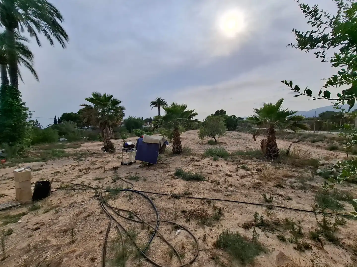 Casa o xalet en venda en Elche / Elx amb Jardí privat i Moblat