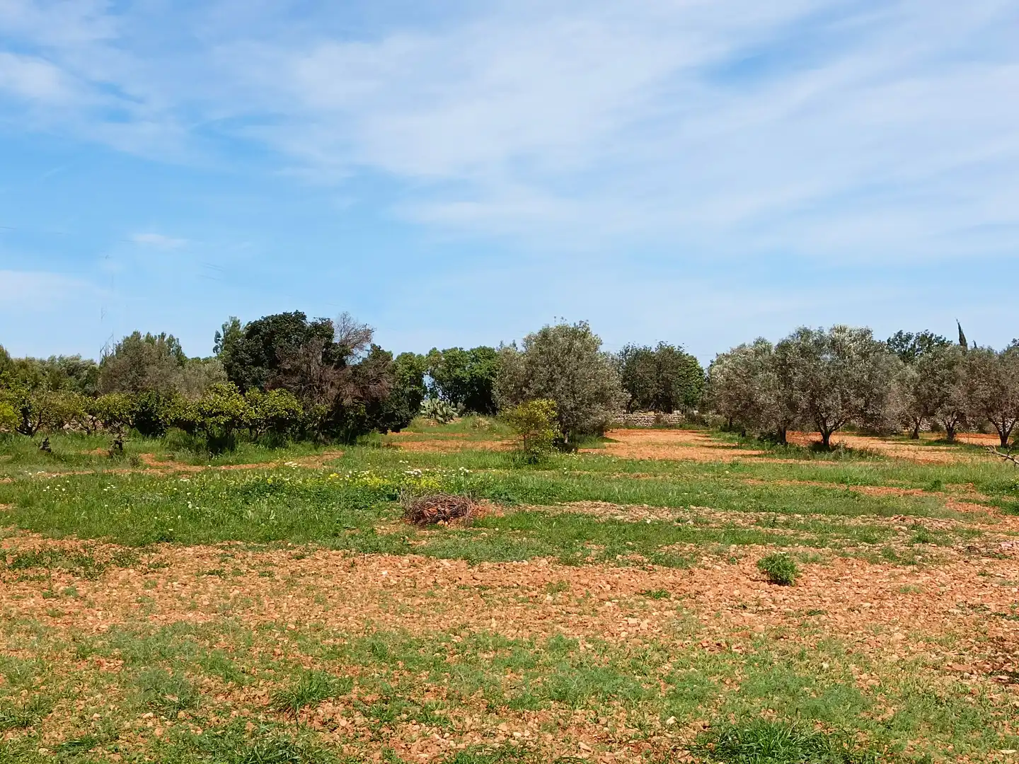 Villa con piscina in vendita a Binissalem, imagen 47
