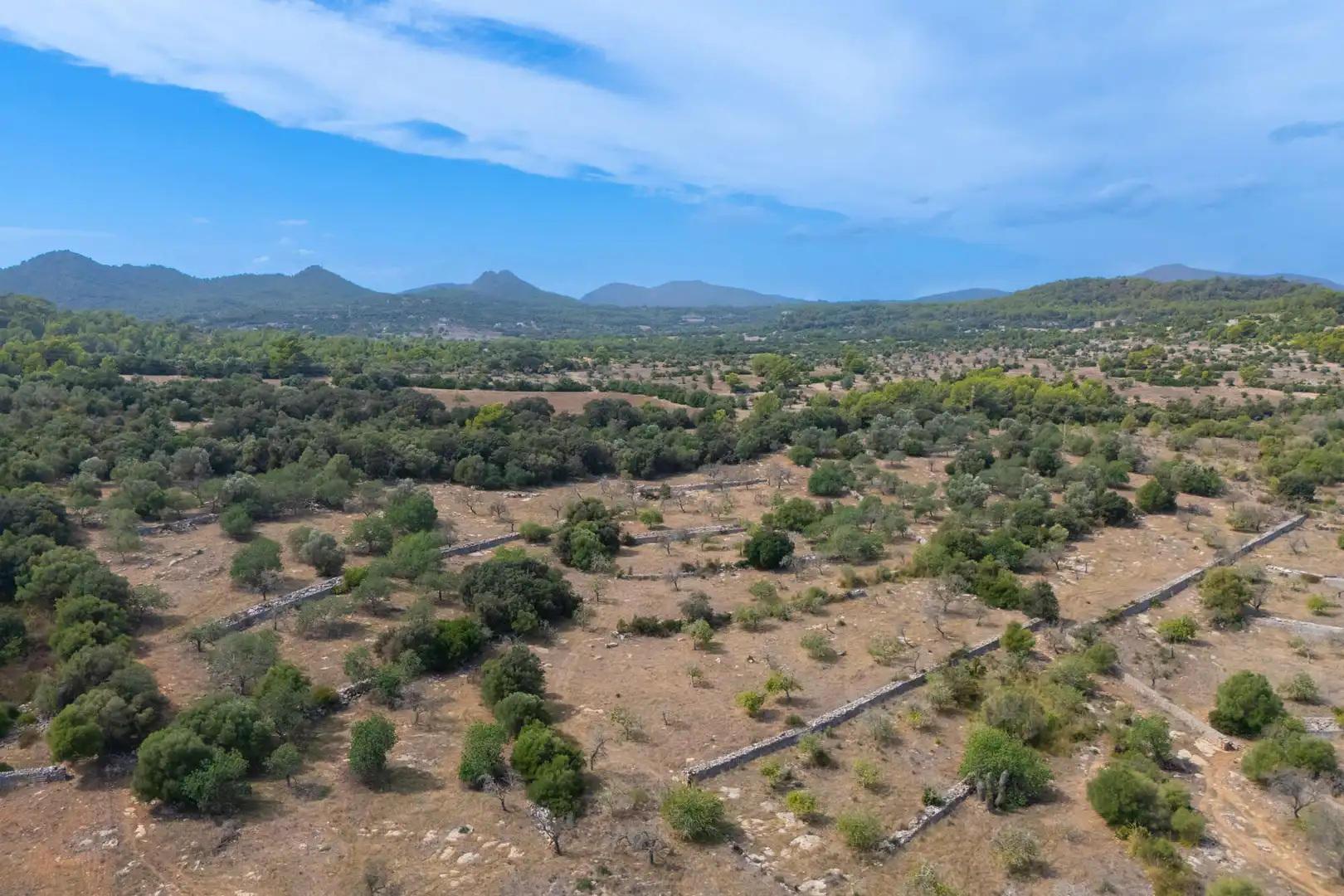Terrain résidentiel à vendre à Son Servera Poble, imagen 2