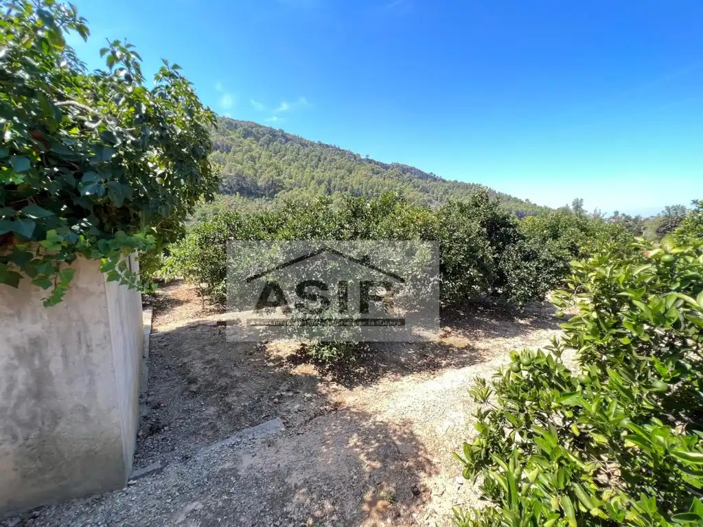 Casa o xalet en venda en Alzira