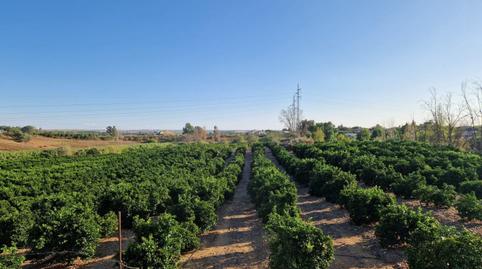 Photo 2 of Flat for sale in Lora del Río, Sevilla