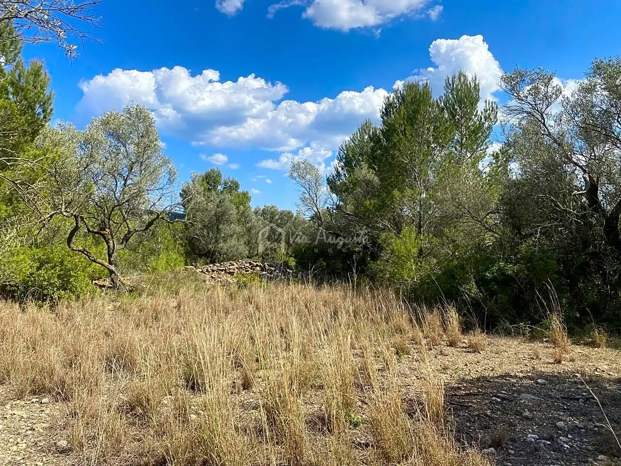 Terreno rustico in vendita a Ligallo de les Bordes, imagen 12