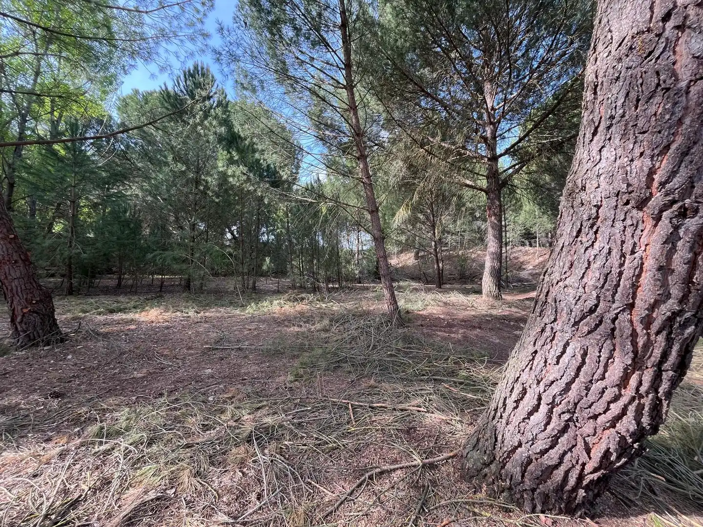 Terreno en venta en Tudela de Duero