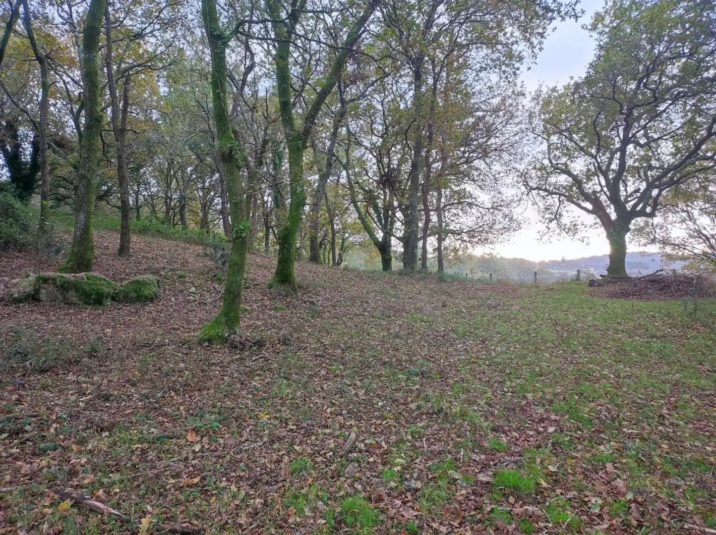 Finca rústica en venta en A Estrada 