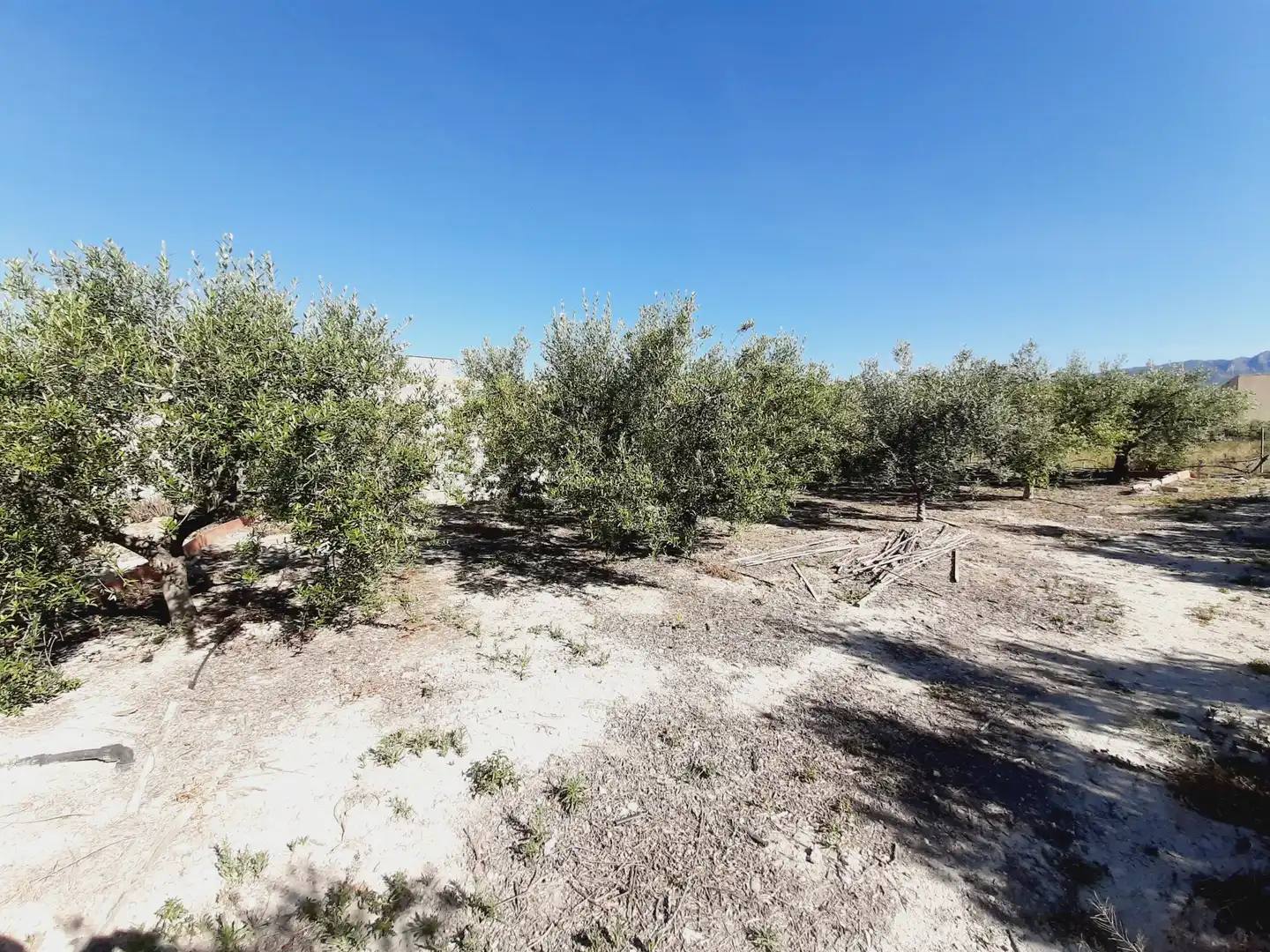 Lands and plots for sale in Mula, imagen 6