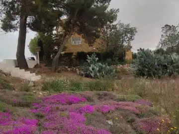 Casa rústica amb jardí en venda a Calle Diseminados 39, imagen 4