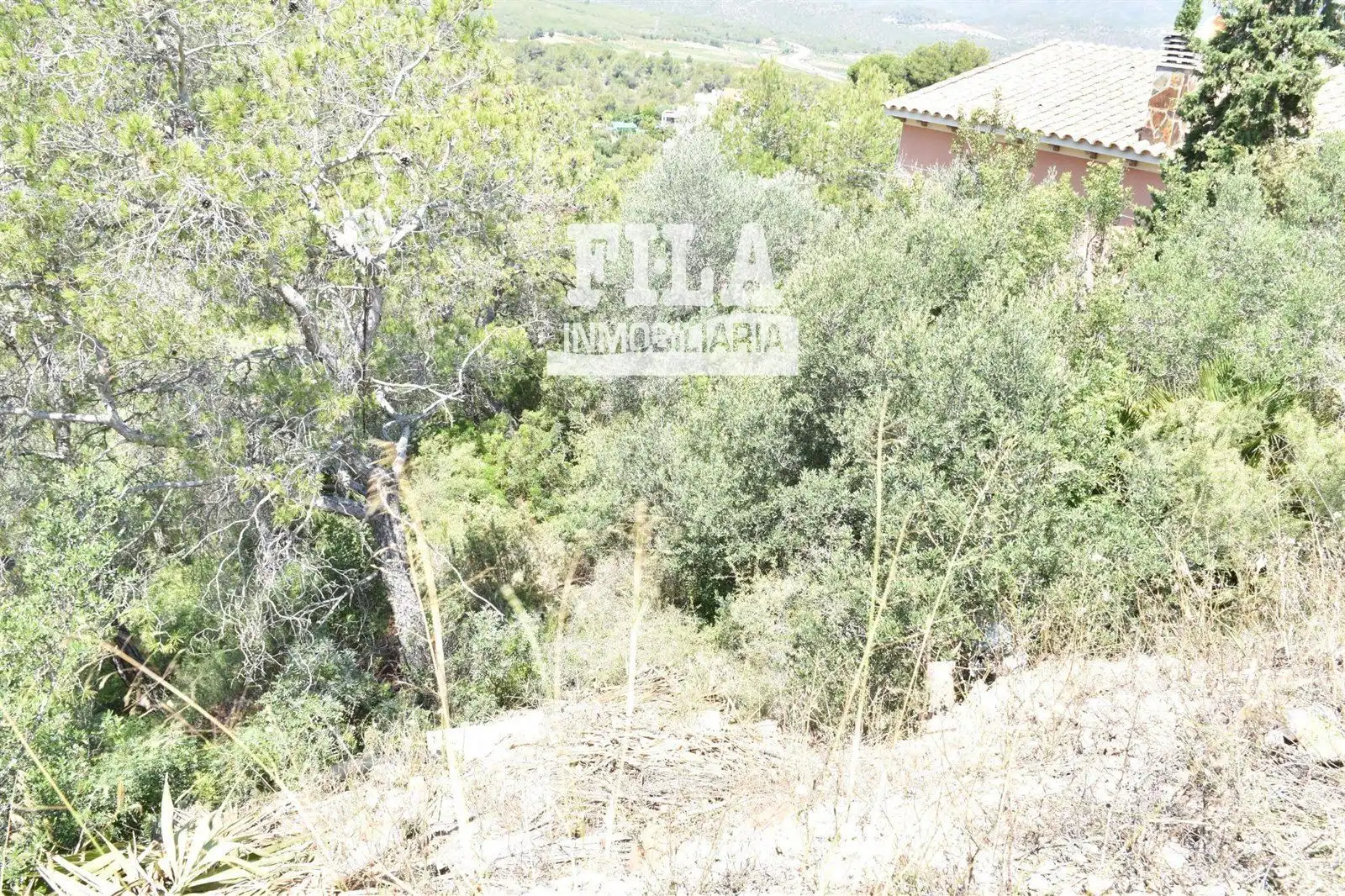 Rural land for sale in La Bisbal del Penedès, imagen 2