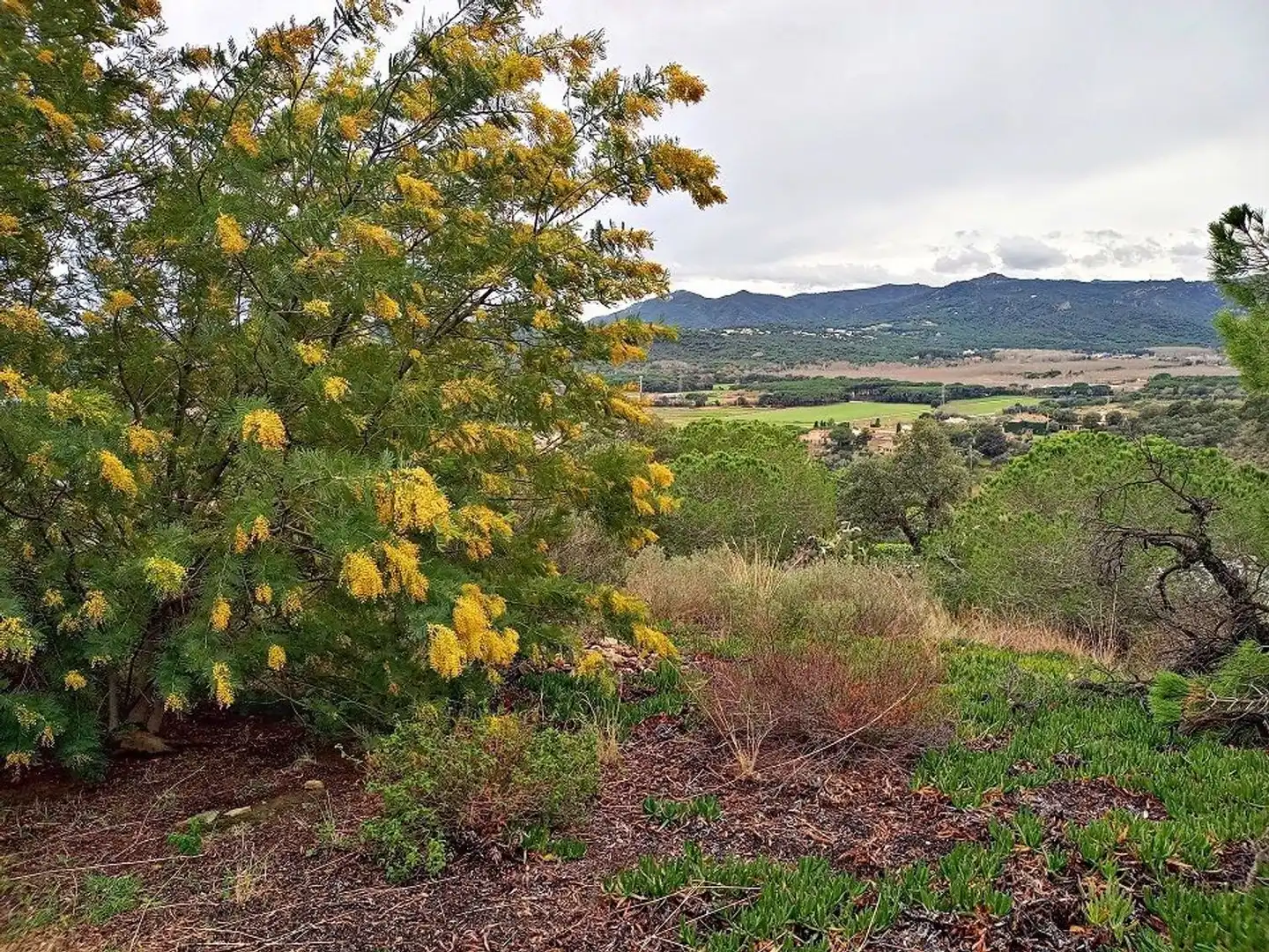 Xalet amb jardí en venda a Calle Pujada Can Manel, imagen 32