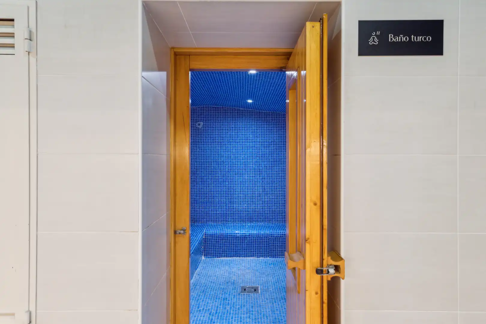 Schwimmbecken von Wohnung zur Miete in Madrid mit Klimaanlage, Heizung und Sauna
