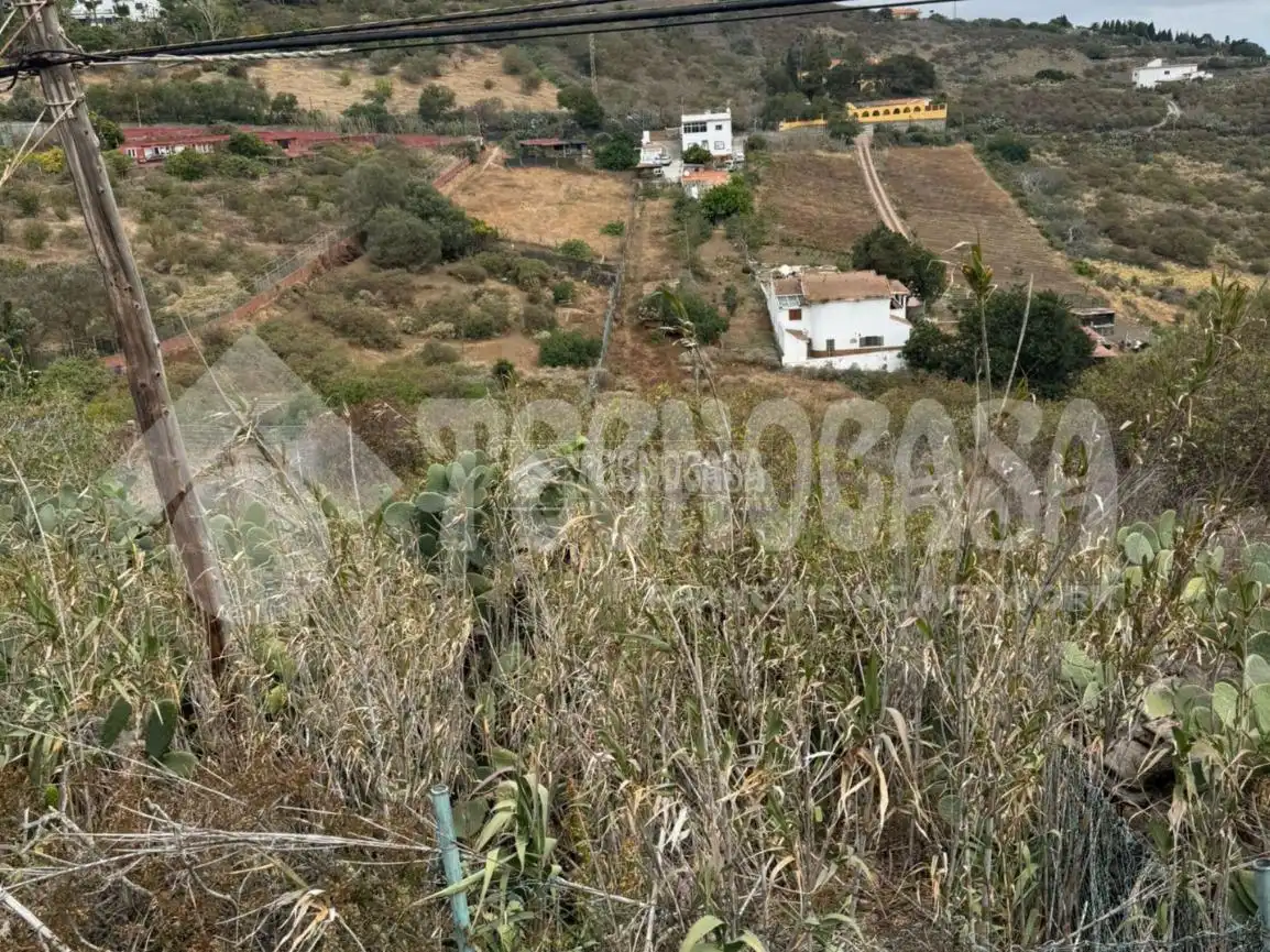 Terrain rustique à vendre à Los Alvarados - Fuente los Berros - Bandama, imagen 5