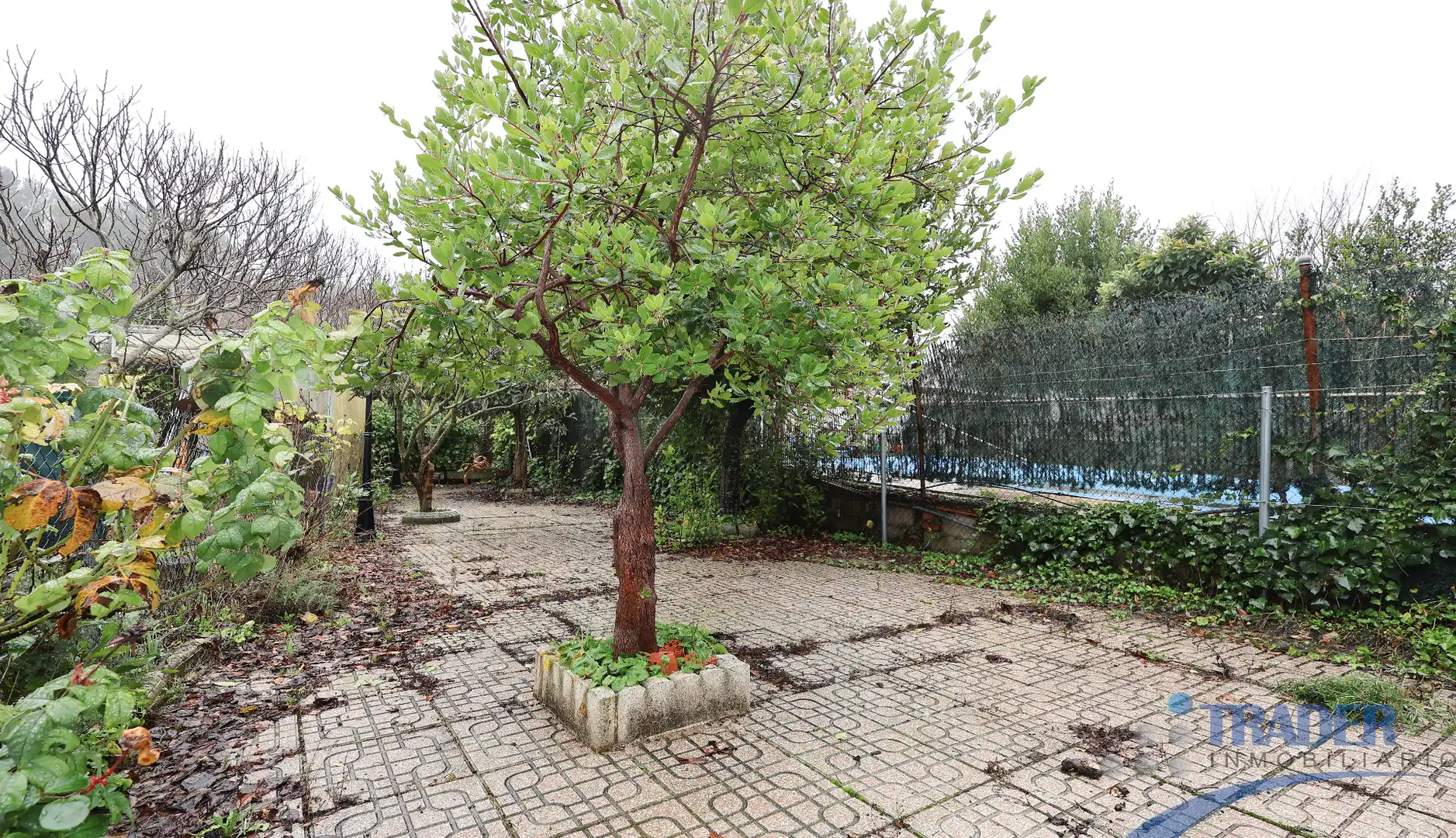 Jardí de Casa adosada en venda en Los Santos de la Humosa amb Jardí privat, Terrassa i Traster