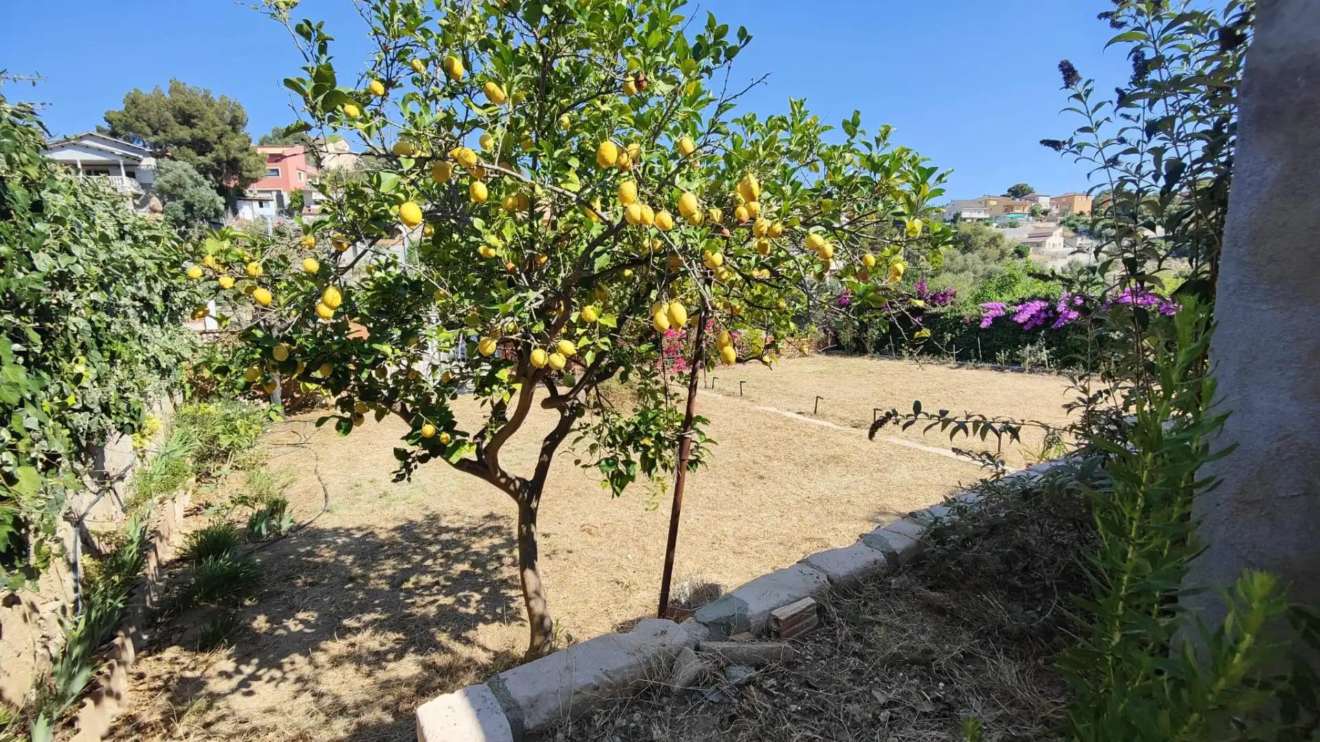 Wohnbaugrundstück zum Verkauf in Avenida Avinguda Cunit, imagen 42