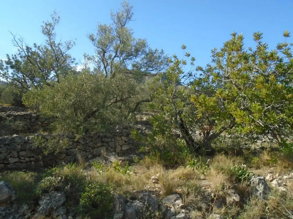 Residential land for sale in Vall D'En Pasto, imagen 7