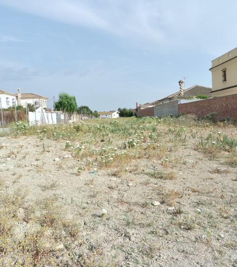 Foto 2 de Finca rústica en venda a Monteolivete - Camino Sevilla, Cádiz