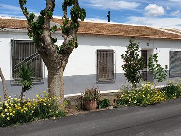 House with garden for sale in Pedanías Este