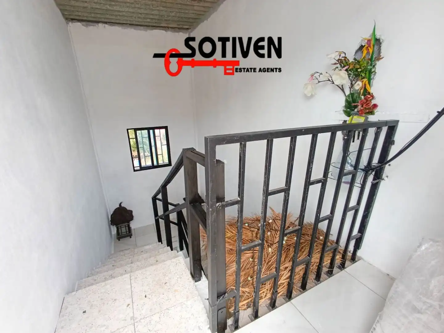 Vista exterior de Casa o chalet en venta en Adeje con Jardín privado y Terraza