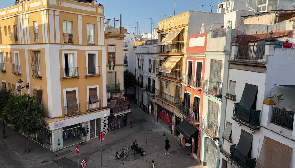 Foto 1 de Piso en venta en Calle Feria, Feria, Sevilla