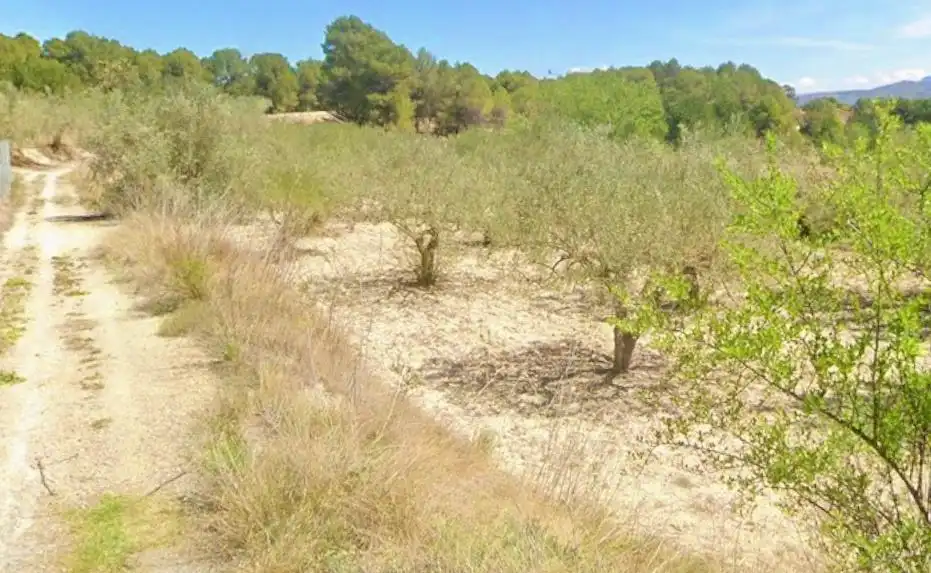 Terrain rustique à vendre à Sant Josep - Zona Hospital, imagen 2