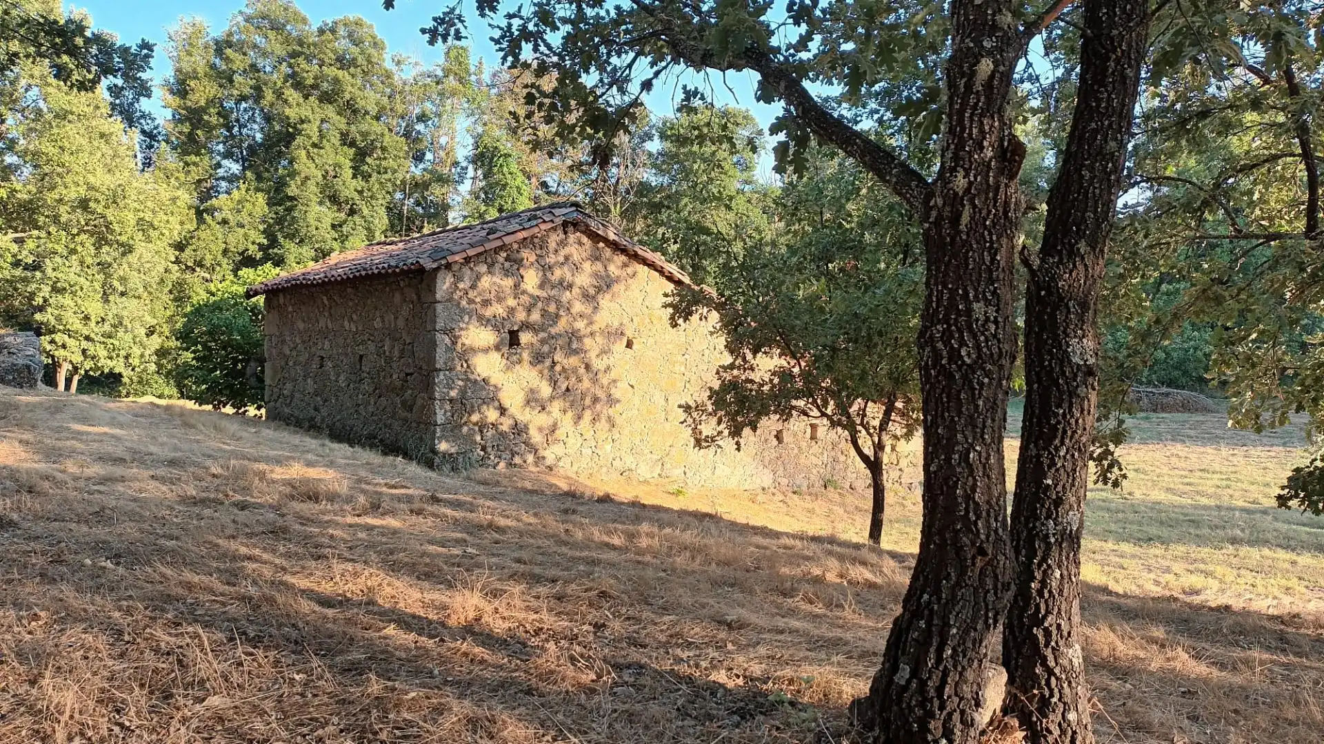 Terreni e lotti in vendita a Villanueva de la Vera, imagen 5