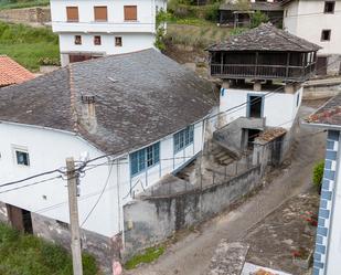 Exterior view of Country house for sale in Cangas del Narcea