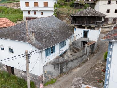 Exterior view of Country house for sale in Cangas del Narcea