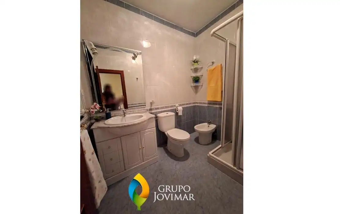 Baño de Casa o chalet en venta en Guadix