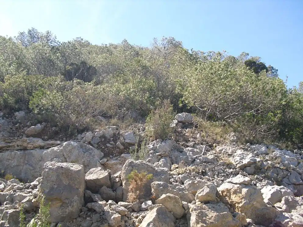 Rural land for sale in C/ Isla Mancolibre, imagen 8