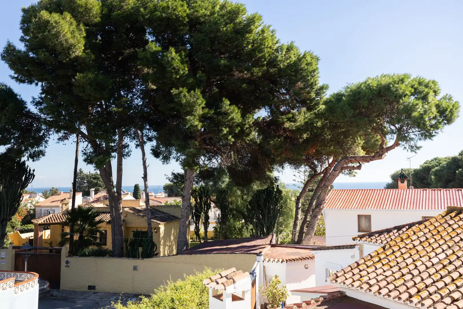 Casa o chalet en venta en El Pinillo