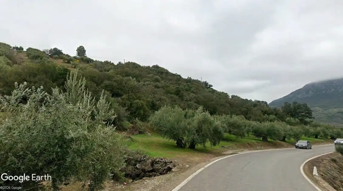 Terreny rústic en venda a Martos, imagen 3