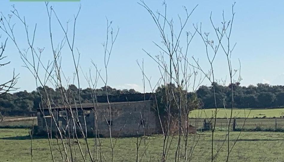 Photo 1 of Residential for sale in Carretera Sineu Km 4, 1, Zona Periurbana, Illes Balears