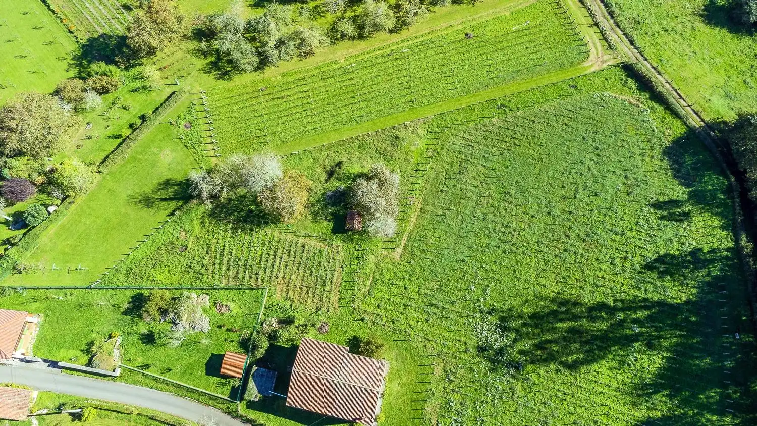 Terreny residencial en venda a Lugar ALDEA CESA 201, imagen 4