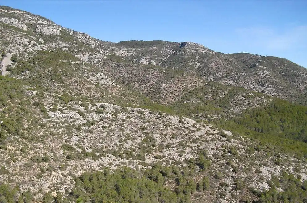 Terreno rústico en venta en Alcossebre, imagen 12