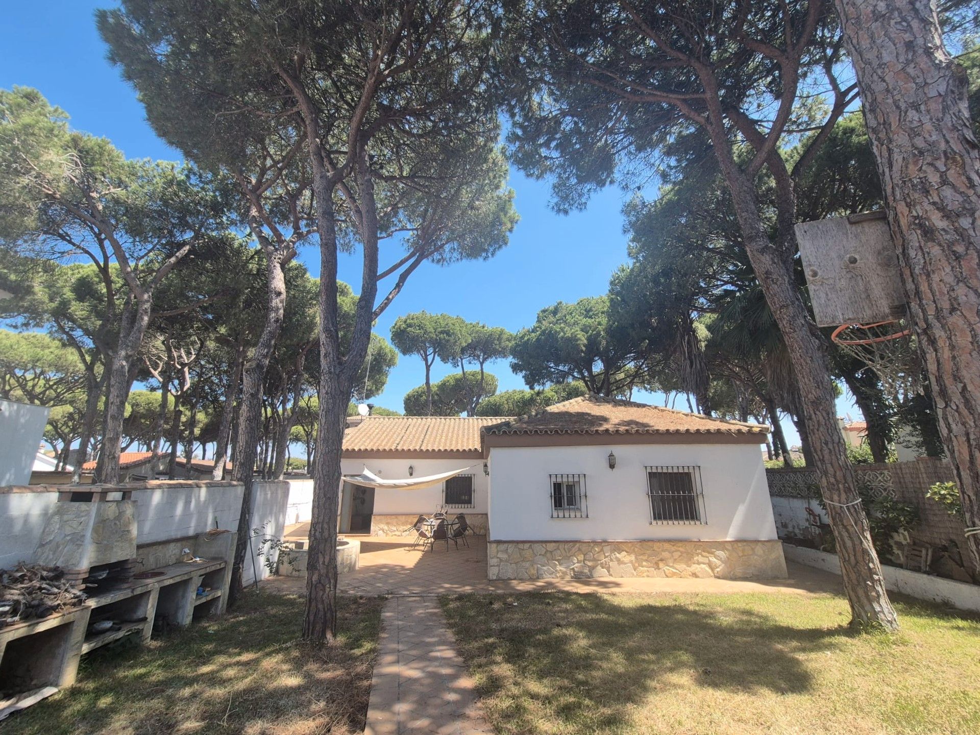 Garden of House or chalet for sale in Chiclana de la Frontera