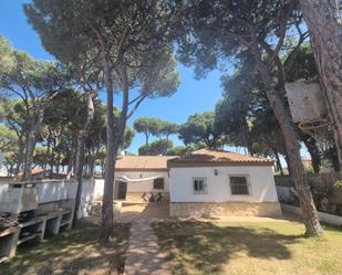 Garden of House or chalet for sale in Chiclana de la Frontera