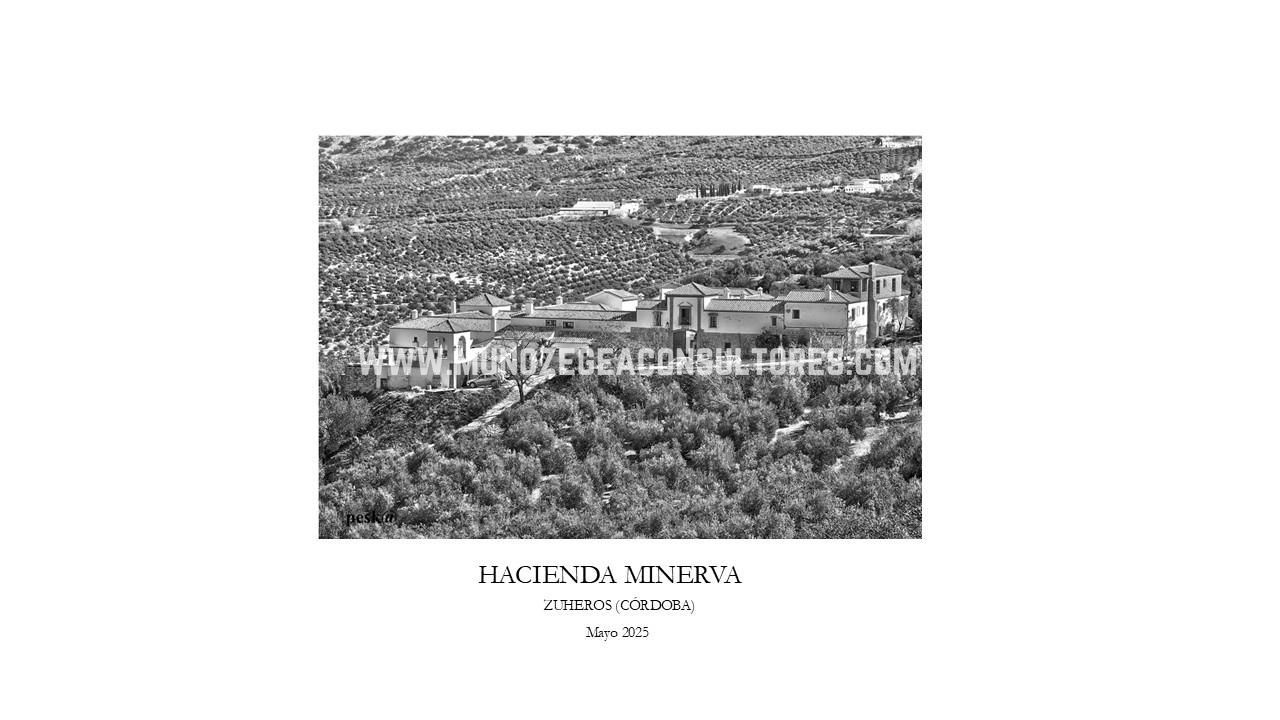 Garden of Building for sale in Zuheros