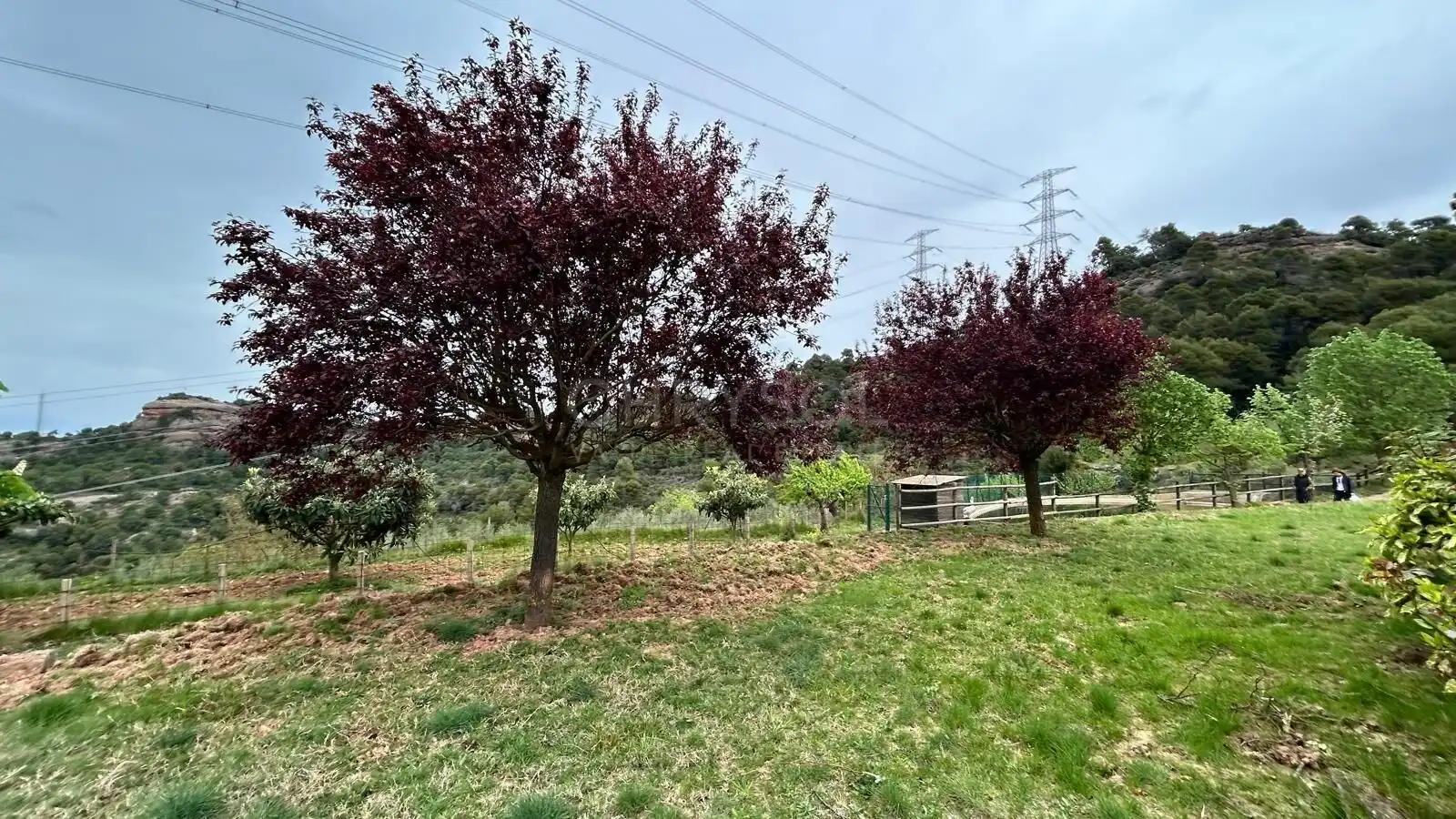 Finca rústica en venda en Mura amb Jardí privat i Piscina