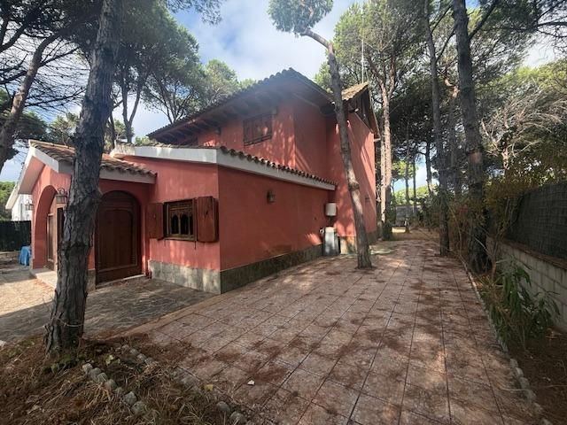 Exterior view of House or chalet for sale in Chiclana de la Frontera  with Private garden, Parquet flooring and Terrace