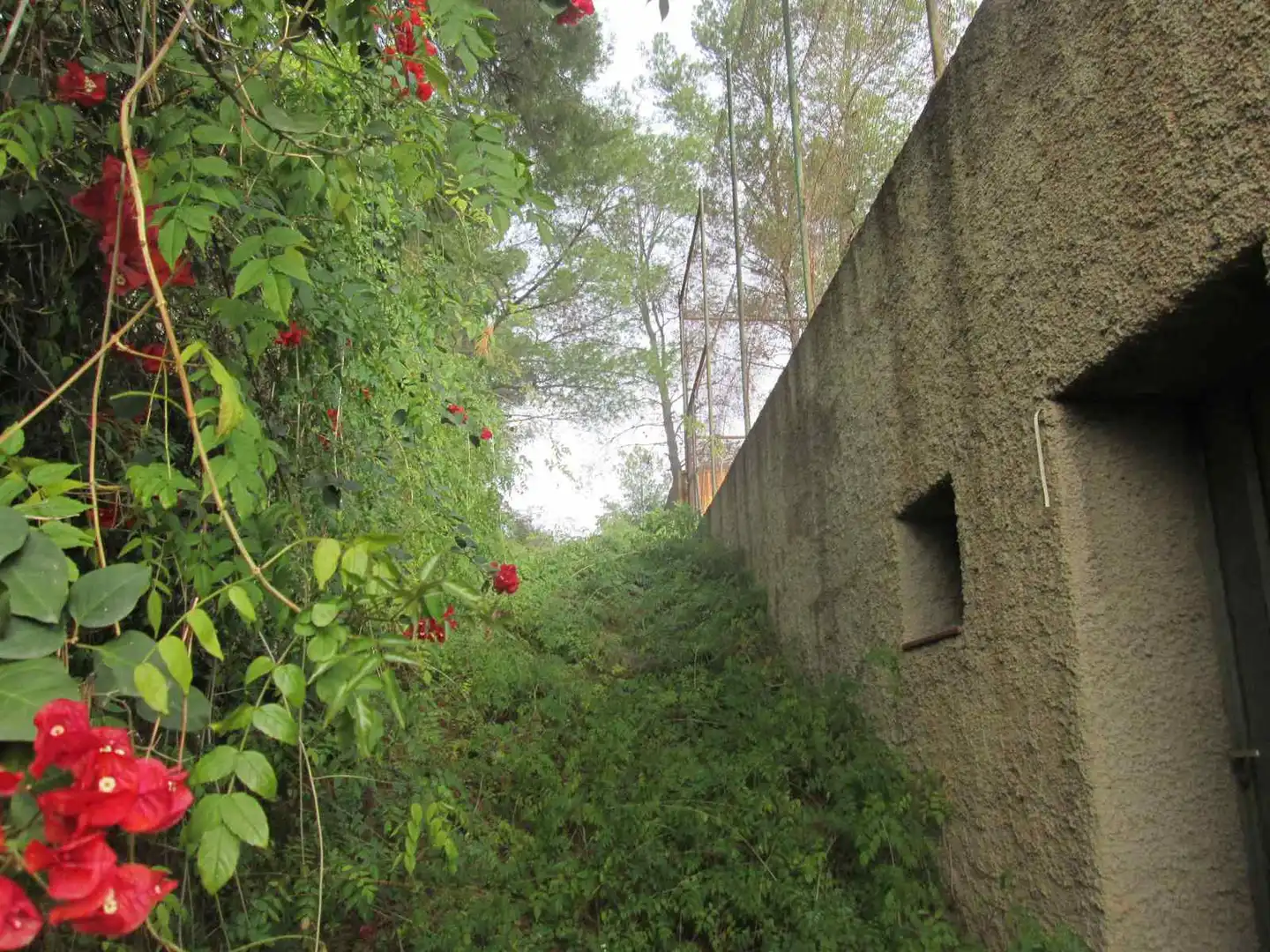 Rural land for sale in C/ Font de L´Or, imagen 9