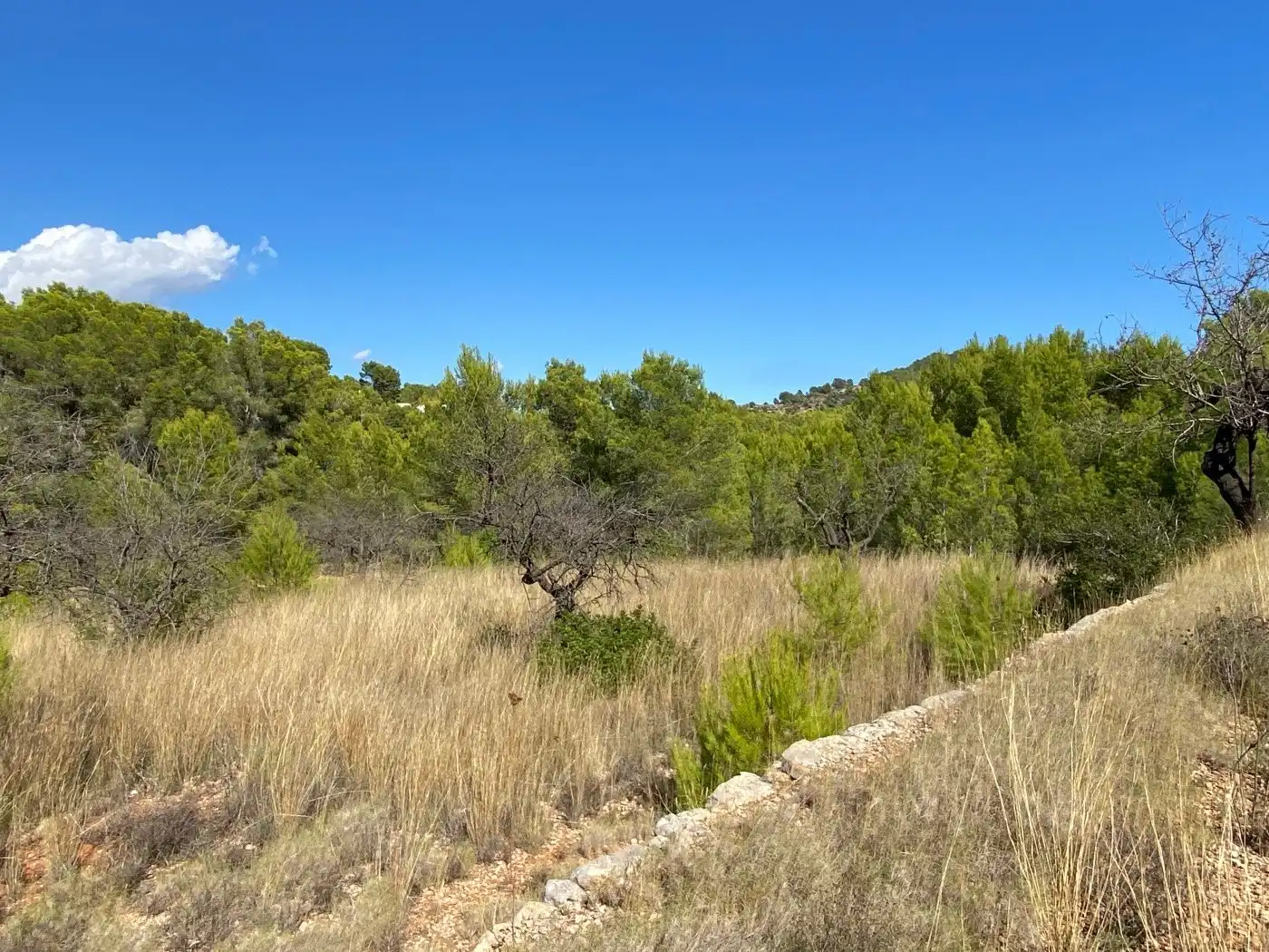 Terreny residencial en venda a Benissa pueblo, imagen 10